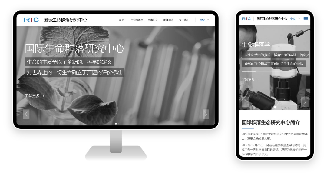 PC 与移动端首页
