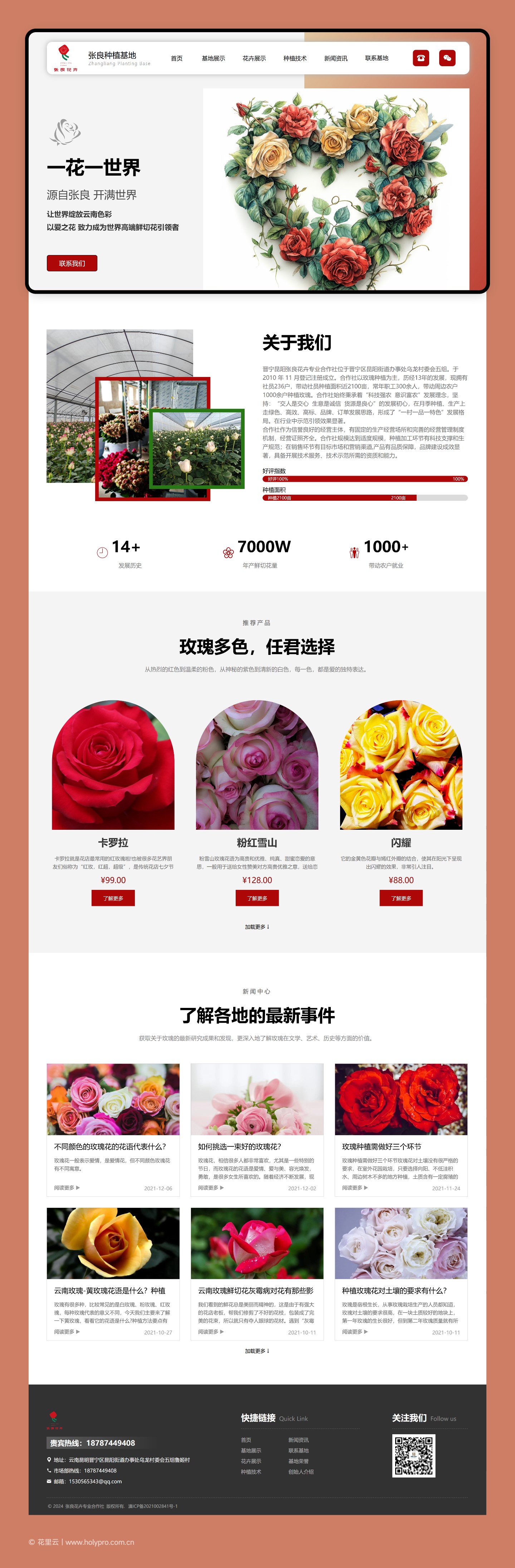 官网整页设计