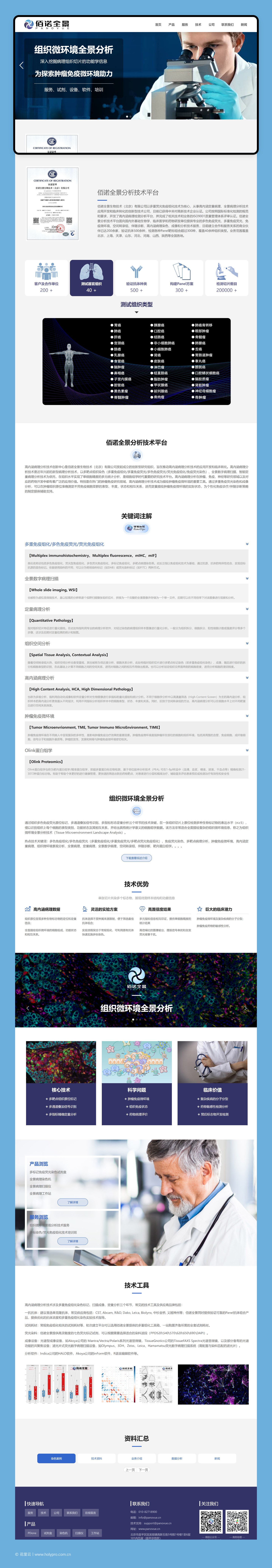 官网整页设计