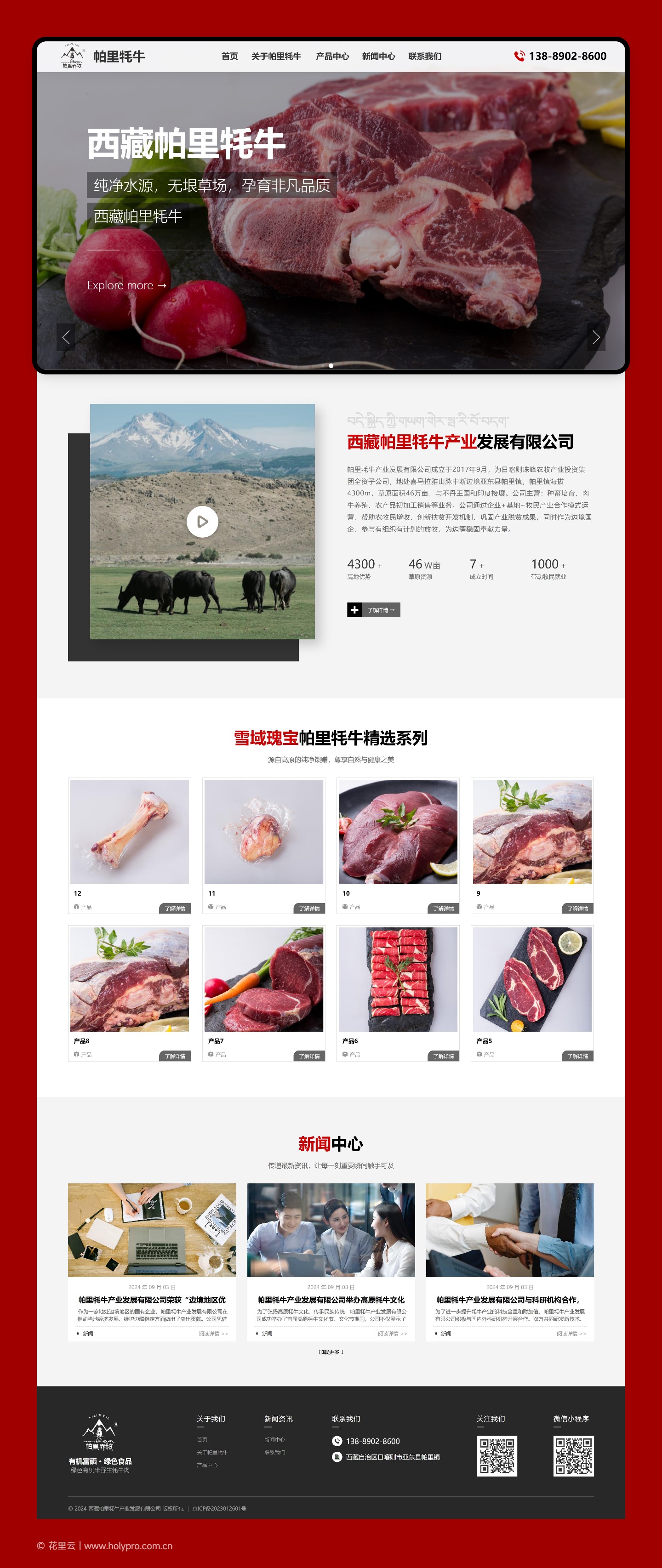 官网整页设计