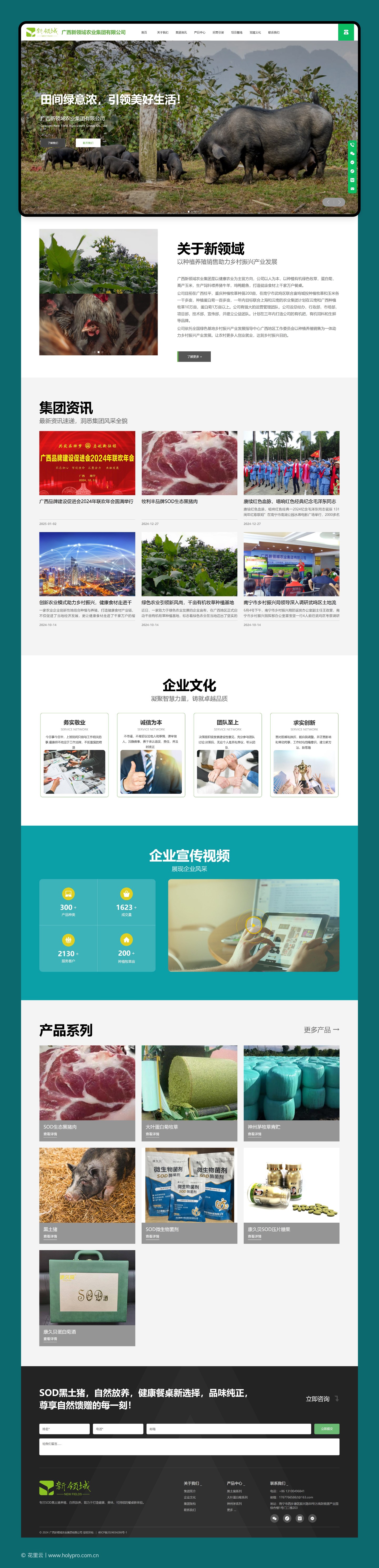 官网整页设计
