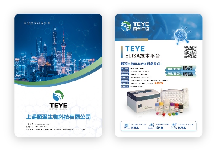 单页正反面展开