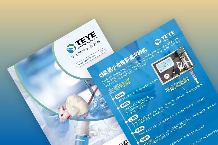 海报成品主视觉