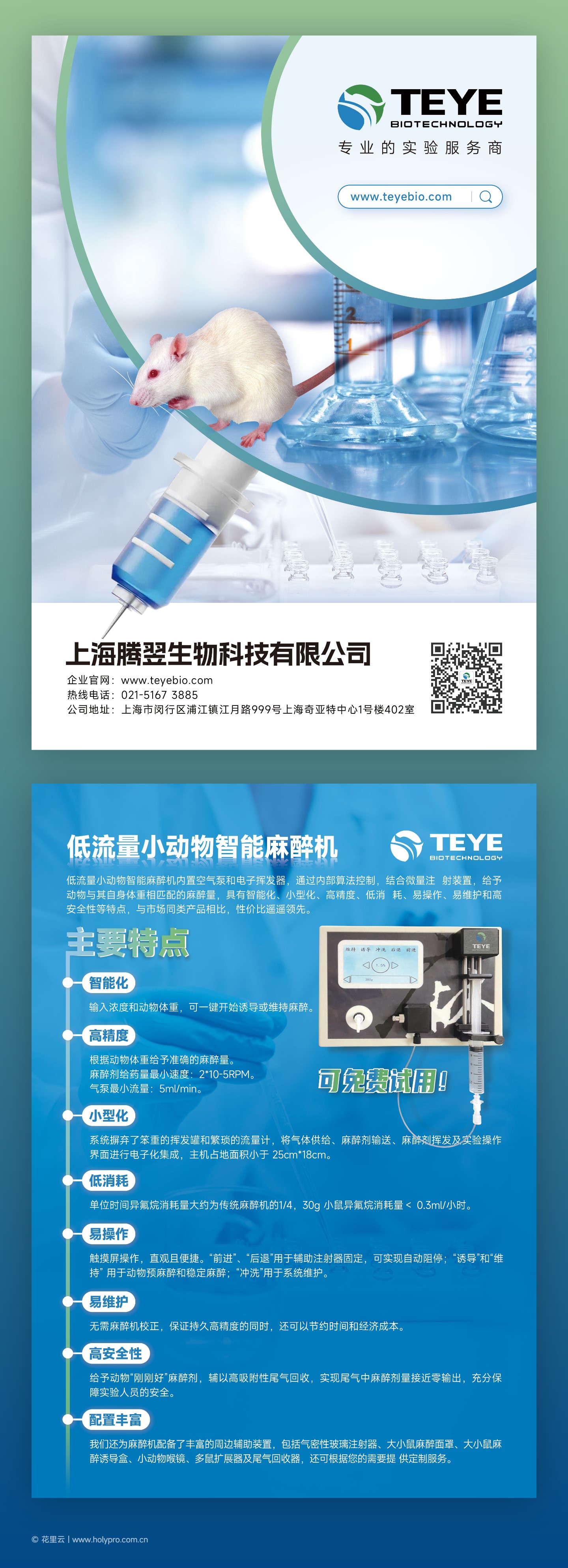 海报完整版面