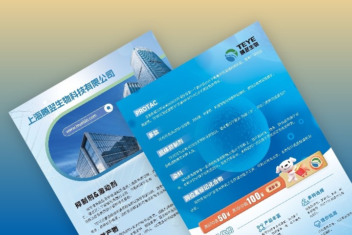 单页成品主视觉