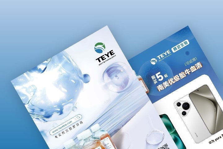 海报成品主视觉