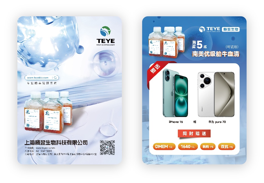 海报正反面展开