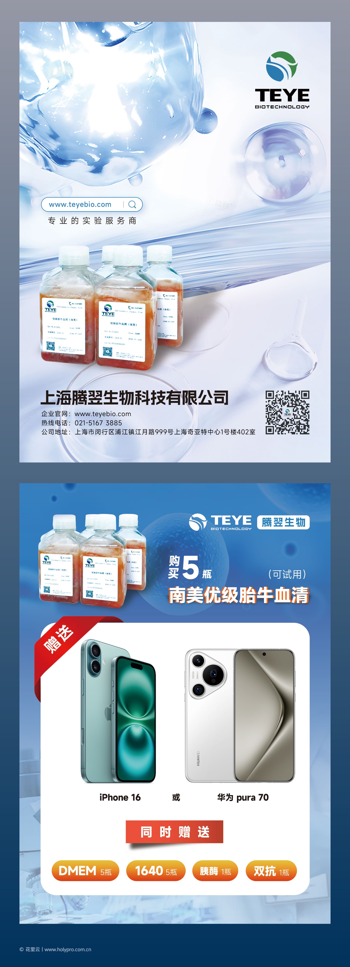 海报完整版面