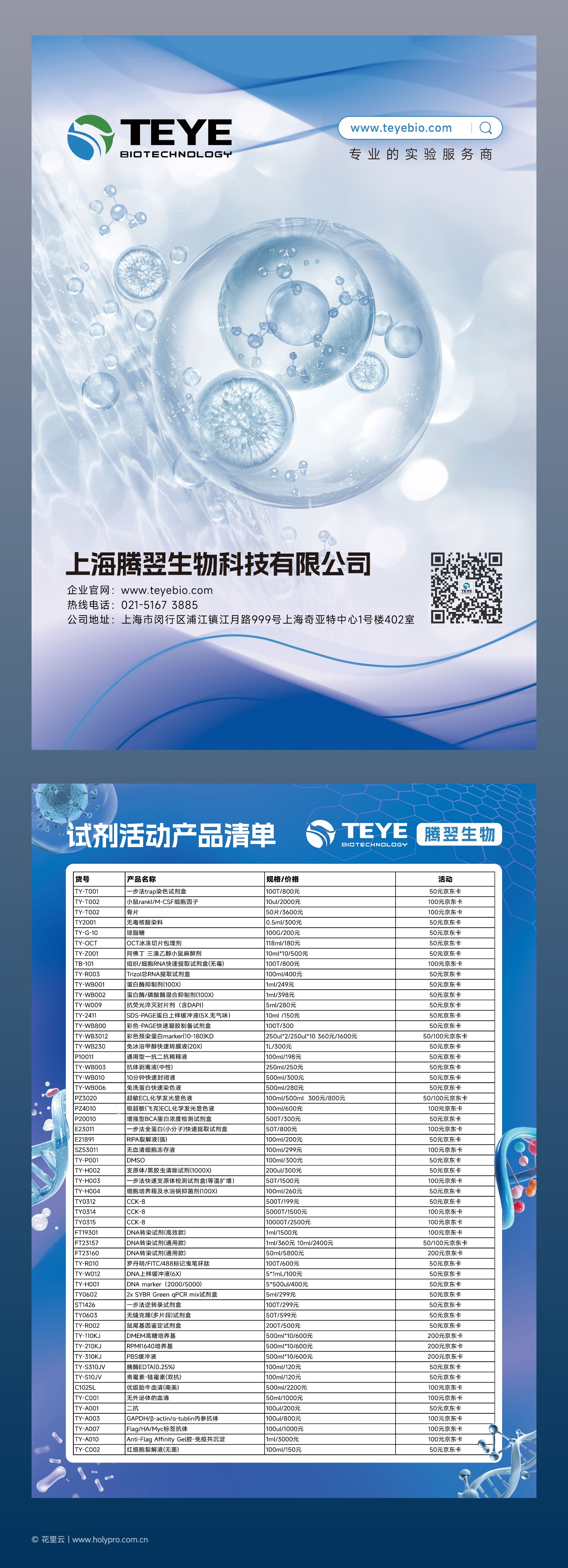 海报完整版面