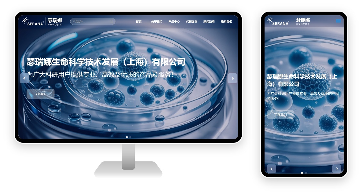 PC 与移动端首页