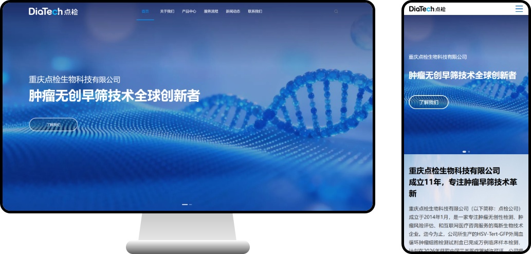 PC 与移动端首页